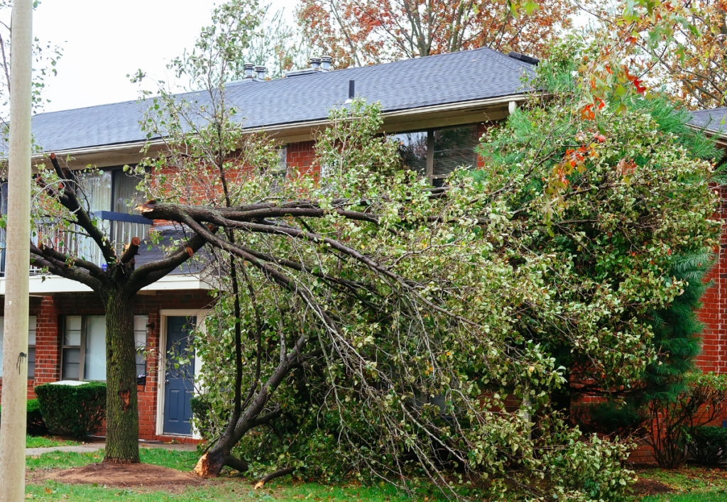 storm damage restoration